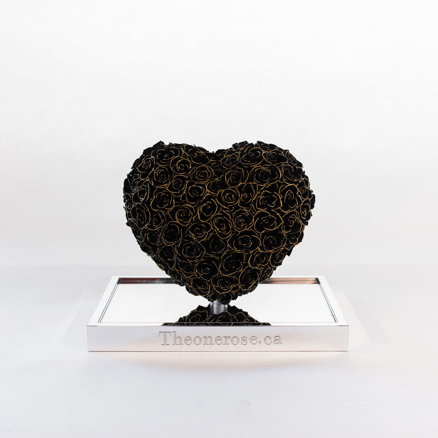 Preserved Acrylic 3DHeart