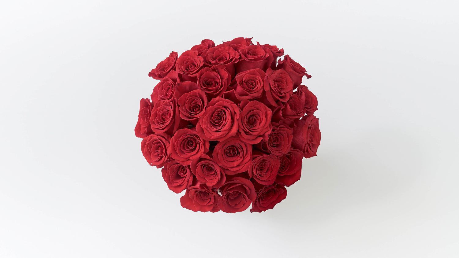 Fresh Red Rose,1Pc : : Home & Kitchen