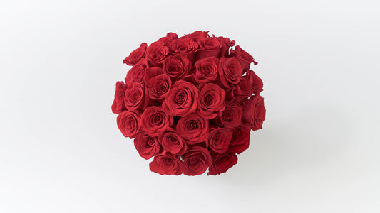 Fresh Red Rose Bucket