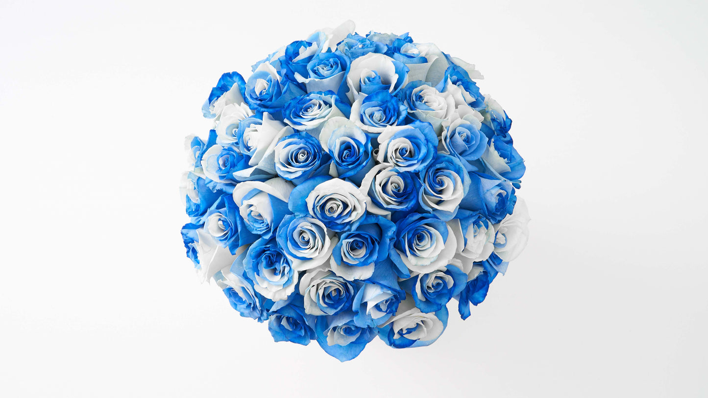 Fresh Rose Blue and White Rose Bucket