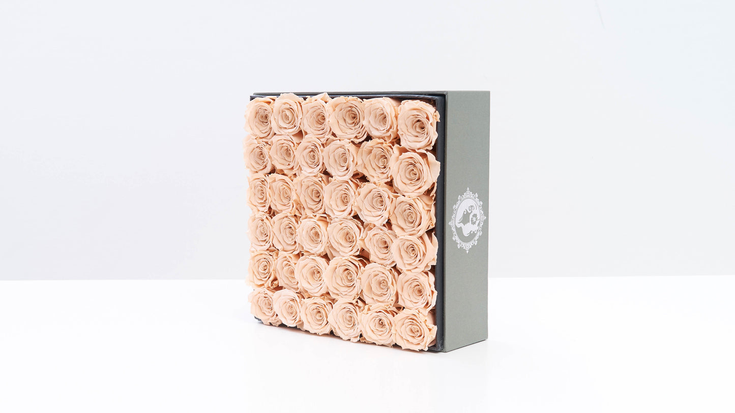 Preserved Large Square Box Milktea Roses