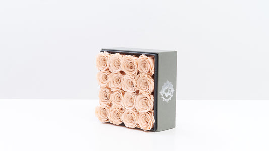 Preserved Small Square Box Milktea Roses