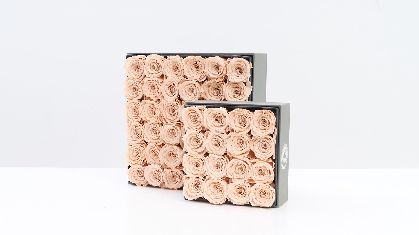 Preserved Small Square Box Milktea Roses