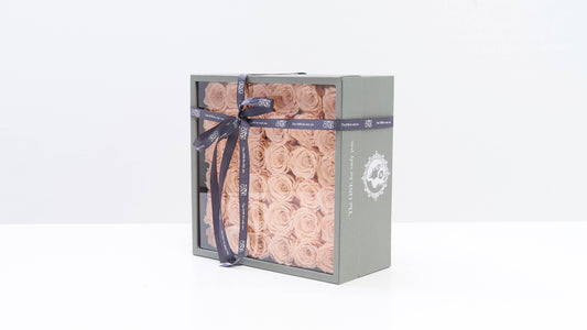 Preserved Large Square Box Milktea Roses