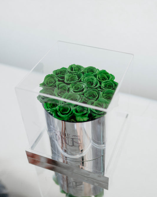 Preserved Rose Bucket