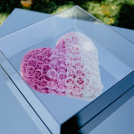 Preserved Acrylic Pink Gradient Rose Heart