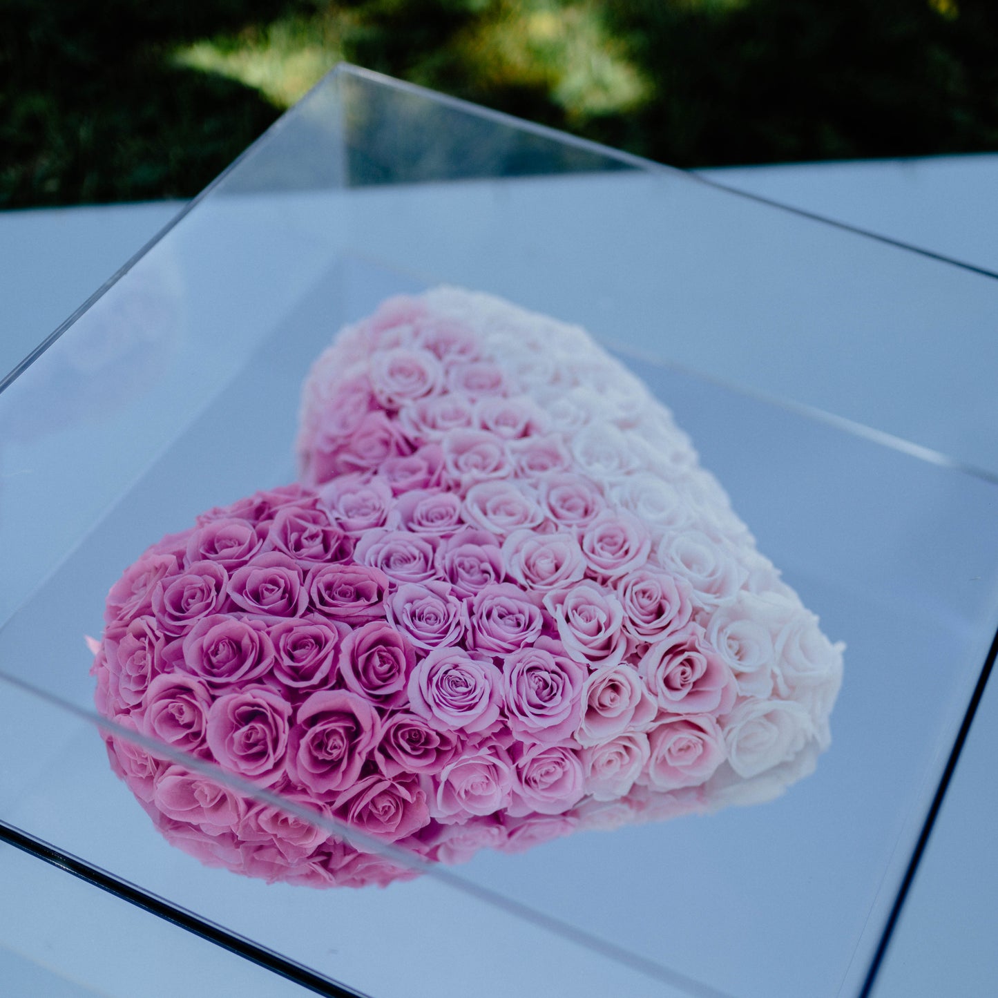Preserved Acrylic Pink Gradient Rose Heart