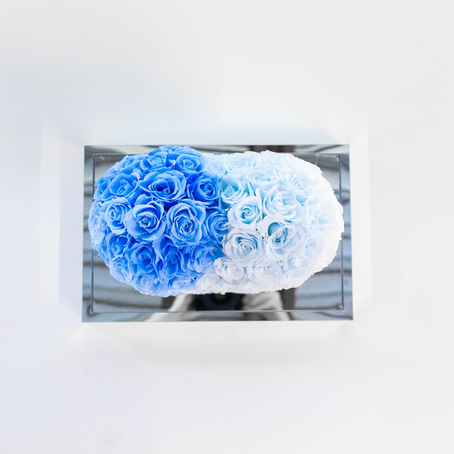 Preserved Acrylic 3DHeart