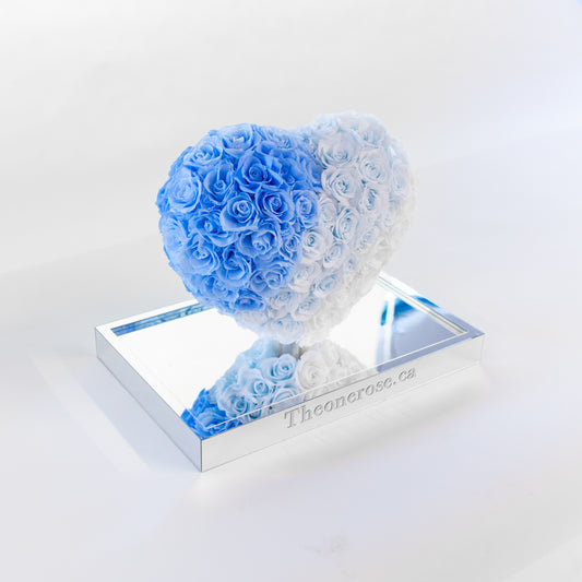 Preserved Acrylic 3DHeart