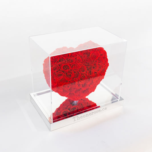 Preserved Acrylic 3DHeart