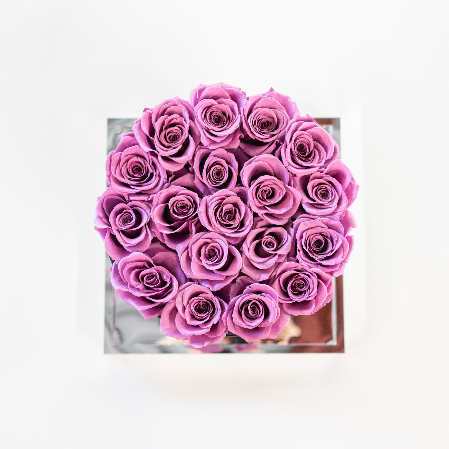 Purple Roses Bucket Preserved Rose Bucket – The One Rose