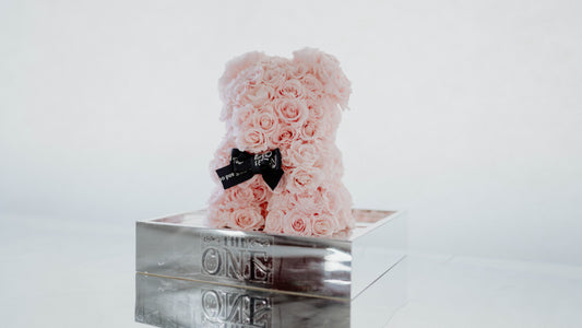 Preserved Acrylic Pink Rose Bear